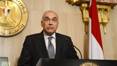 الخارجية تدعو المصريين بالخارج إلى الاستفادة من مد فترة القيد بجداول الانتخابات