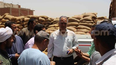 شون مطاي بالمنيا تستقبل 37 ألفا و745 إردب قمح من المزارعين