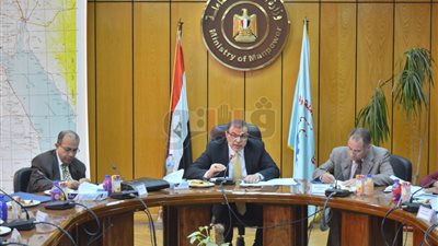 سعفان : ضرورة توحيد الجهود لإنشاء قاعدة بيانات للعاملين بالخارج