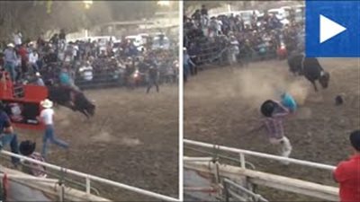 بالفيديو.. ثور يلقي بمصارعه أرضا بعد ثوان من ركوبه