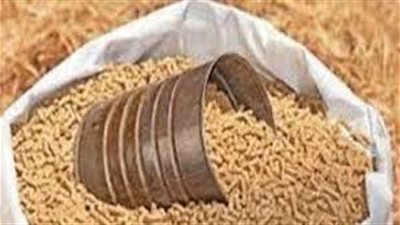 هل ترتفع أسعار الأعلاف؟.. 