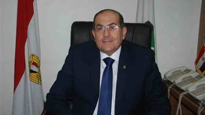 محافظة سوهاج تشن حملات نظافة بمركز البلينا