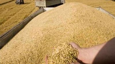 «غرفة الحبوب»: 200 مليون جنيه استثمارات «العهد الجديد» في الصوامع