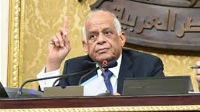 برلماني: الحكومة تقتل المواطن.. وعبد العال يطالب بحذفها من المضبطة