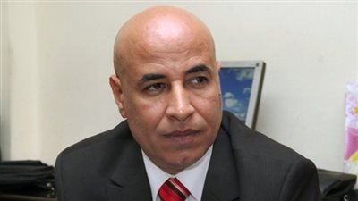 اتحاد المصريين بالخارج: العمليات الإرهابية لن تزيدنا إلا قوة وتماسكا