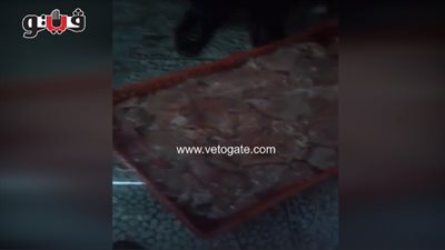ضبط 10 أطنان دواجن برازيلية فاسدة في الطالبية (فيديو)