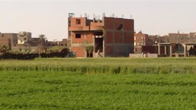 زراعة الجيزة: انخفاض نسبة التعديات على الأراضي بـ 35%