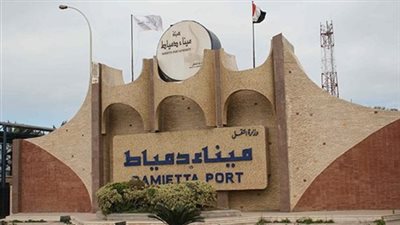 تداول 17 سفينة بميناء دمياط و100 ألف طن حبوب وغلال بالصومعة