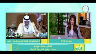 مساعد وزير الخارجية الأسبق: فلسطين وسوريا على رأس القمة العربية