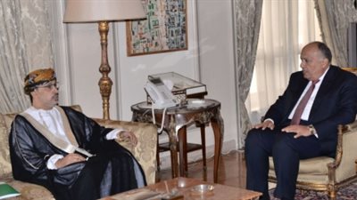 شكري يستقبل نائب رئيس البرلمان العربي لبحث عدد من القضايا