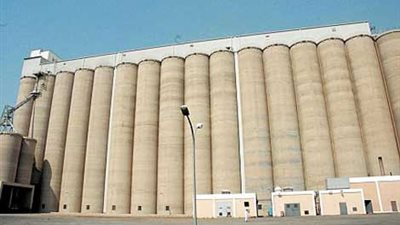 توريد 85 ألفا و587 طن قمح للشون والصوامع في قنا