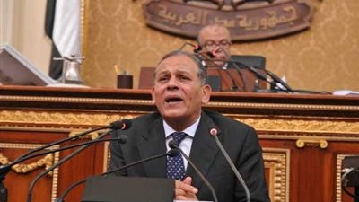 السادات يطالب الحكومة بسرعة ضبط الأسواق