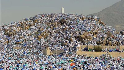 نسك الحاج في يوم عرفة