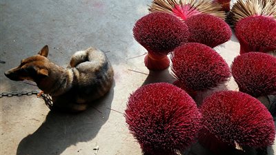 الصين تستعد للاحتفال بعام الكلب (صور)