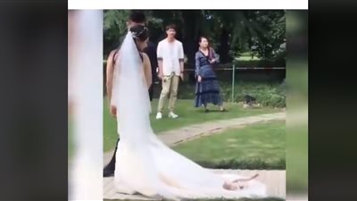 قطة تصيب عروسا بالصدمة في حفل زفافها (فيديو)