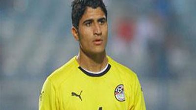 على لطفى: نظام 