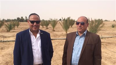 جولة تفقدية لرئيس أكاديمية البحث العلمي في الوادي الجديد