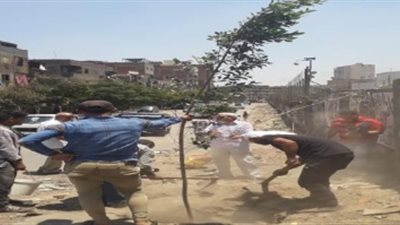 البيئة تبدأ تنفيذ مبادرة زراعة ٣٥٠٠ شجرة في شبرا الخيمة