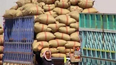 توريد 22 ألف طن قمح للصوامع والشون في الأقصر