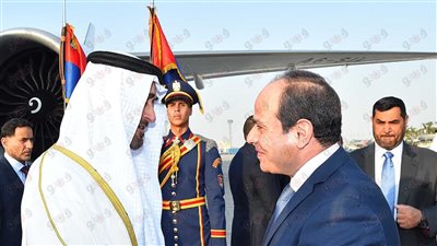 قمة مصرية - إماراتية بالقاهرة.. السيسي وبن زايد يتفقان على مكافحة التحديات.. مواجهة تمويل الجماعات الإرهابية.. حلول سياسية لأزمات المنطقة.. ورد مصري خليجي قوي على قطر خلال أيام