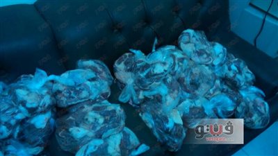 رجال الأعمال ونواب البحيرة يستبقون العيد بتوزيع اللحوم على «الغلابة»