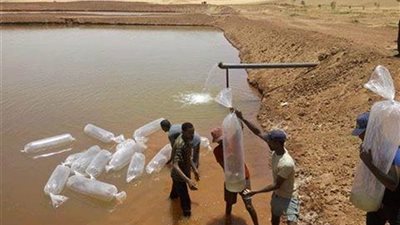 محافظ الوادي الجديد: نعمل على تشجيع مشروعات الاستزراع السمكي