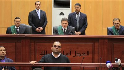 14 أكتوبر.. إعادة محاكمة مستشار بتهمة سب رئيس «قضاة طنطا» السابق