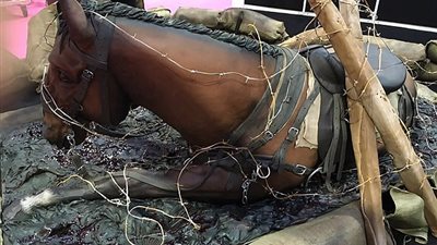 بالصور.. امرأة تصنع أكبر كعكة على شكل حصان حرب