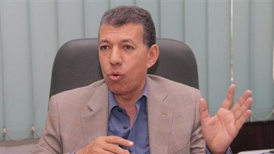 محمد مجاهد الزيات: الملف الإيراني على رأس الأولويات بالقمة العربية