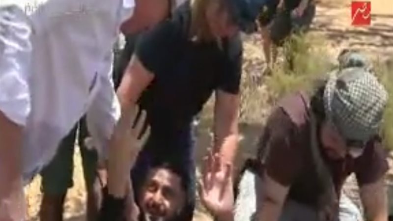 فيتو