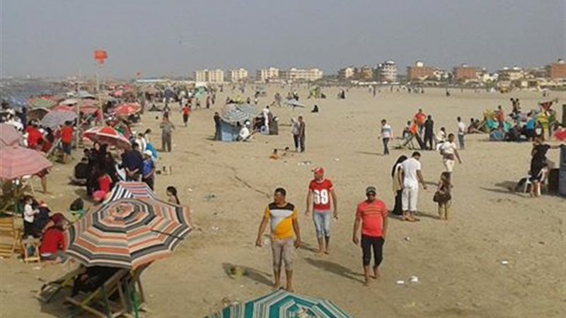 فيتو