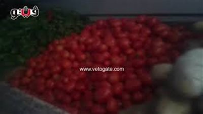 بالفيديو.. الطماطم تسجل 700 قرش واليوسفي بـ8 جنيهات