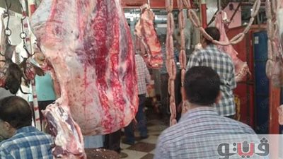بالصور.. ضبط لحوم مذبوحة خارج السلخانة في الإسماعيلية