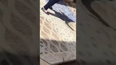 شاهد ماذا فعلت أردنية مع ثعبان ضخم قبل وصوله إلى أطفالها (فيديو)