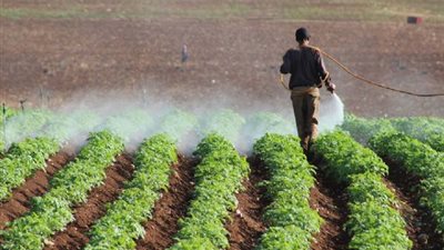 مصلحة الري: قانون الموارد المائية يهدف للتنمية الزراعية