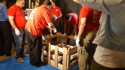 تفاصيل نقل 205 قطع أثرية لتوت عنخ آمون من الأقصر إلى المتحف الكبير