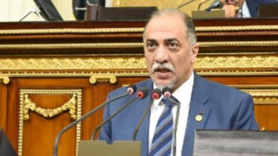 رئيس دعم مصر: مستعدون لإصدار أي تشريعات بشأن المصريين بالخارج