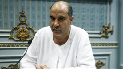 «زراعة البرلمان»: لابد من مراعاة المعايير في المبيدات والأسمدة