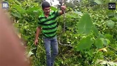 بالفيديو والصور.. أفعى تناولت أخرى أكبر منها