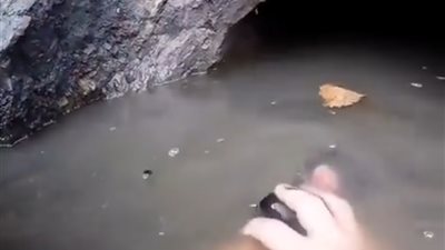 طفل يصطاد سمكة ضخمة بيديه (فيديو)