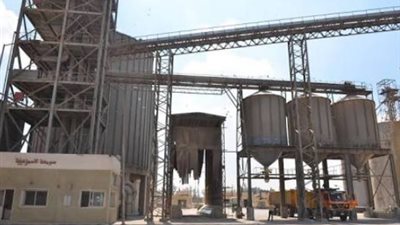 خبير محاصيل يضع روشتة لسد الفجوة بين إنتاج واستهلاك القمح