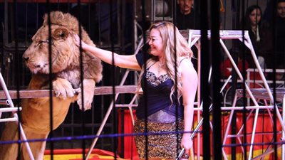 3 فروع لاستقبال جماهير سيرك فاتن الحلو بمناسبة عيد الأضحى