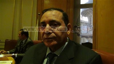 بالفيديو.. الزينى: رسم الحماية وراء ارتفاع أسعار الحديد