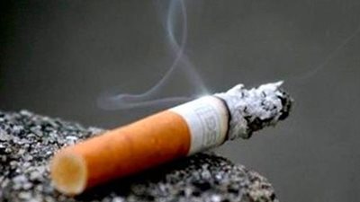 دراسة: أعقاب السجائر تتسرب إلى السلسلة الغذائية