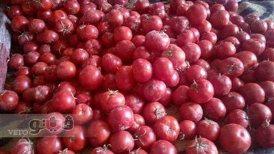 استقرار أسعار الخضراوات اليوم بسوق الجملة.. والطماطم بـ7.5 جنيهات