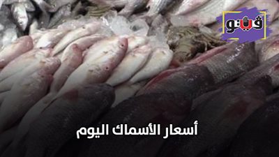 اسعار الأسماك اليوم | تعرف على الأسعار في سوق العبور اليوم 2019/7/13