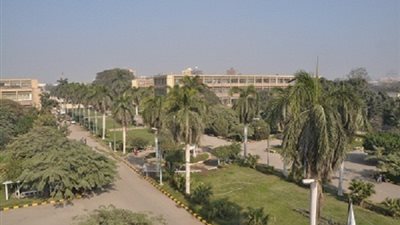 بدء تسجيل مقررات الفصل الدراسي بزراعة عين شمس 10 أغسطس