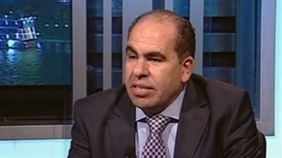 نائب رئيس حزب الوفد: ثورة 30 يونيو أعادت للشعب دولته