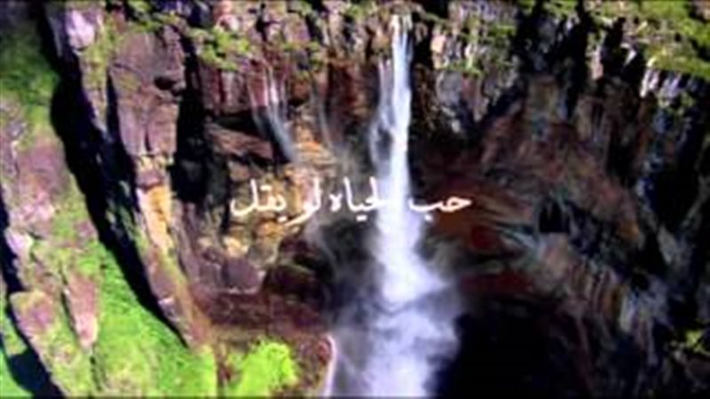 فيتو