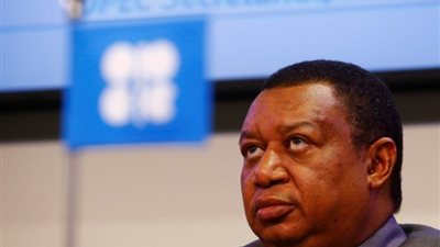 سكرتير عام «أوبك»: دور مصر مهم في استقرار المنطقة